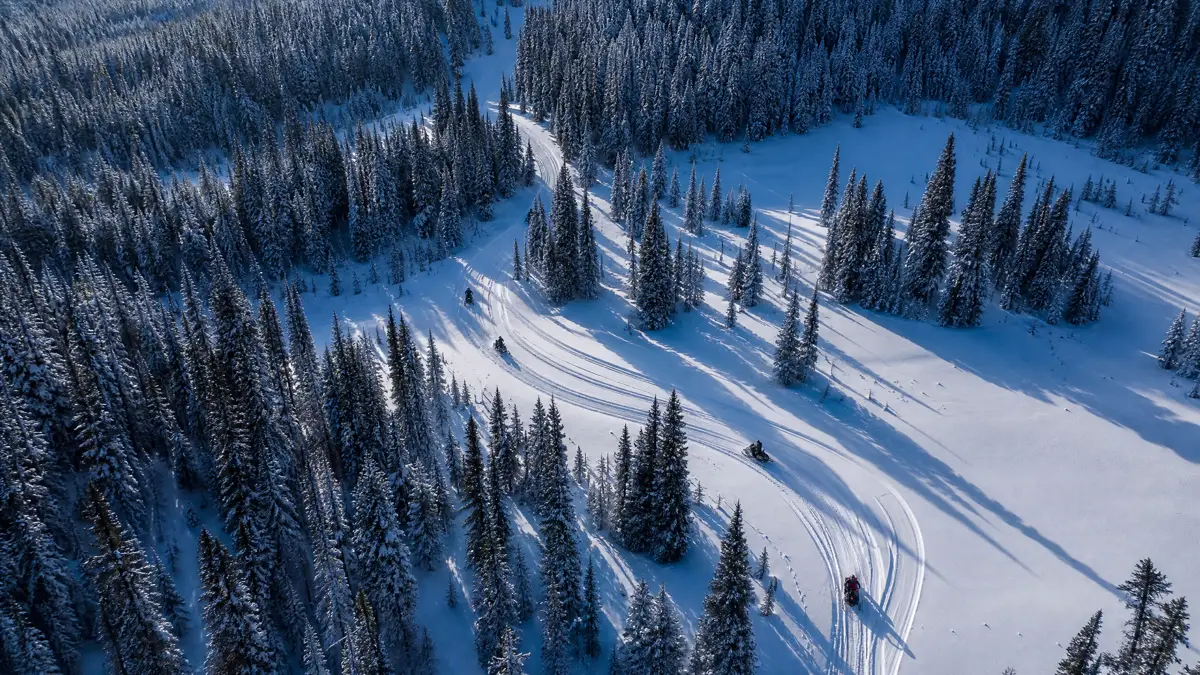 A snowmobile carving through fresh powder on an open trail